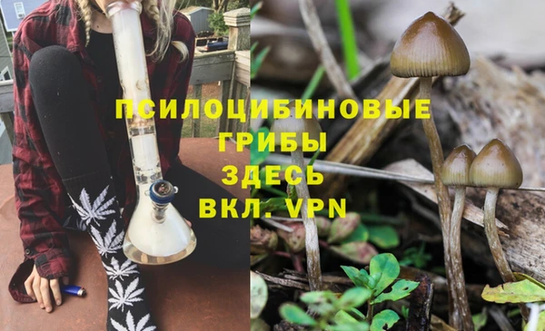 ешки Арсеньев