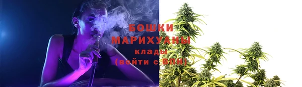 ПСИЛОЦИБИНОВЫЕ ГРИБЫ Армянск