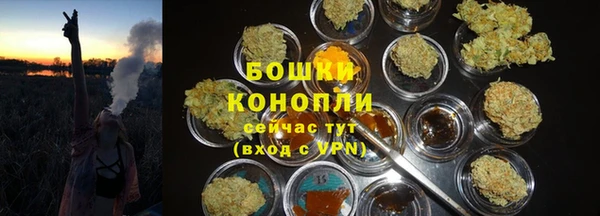 ПСИЛОЦИБИНОВЫЕ ГРИБЫ Армянск