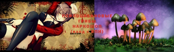 ПСИЛОЦИБИНОВЫЕ ГРИБЫ Армянск