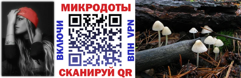 где можно купить наркотик  Мыски  Псилоцибиновые грибы GOLDEN TEACHER 